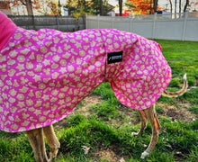 Load image into Gallery viewer, Pink Sugar Cookie Sighthound House Coat
