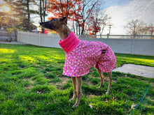 Load image into Gallery viewer, Pink Sugar Cookie Sighthound House Coat