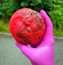 Load image into Gallery viewer, RV Oreo Swirl Glam Cookie