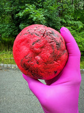 Load image into Gallery viewer, RV Oreo Swirl Glam Cookie