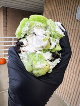 Load image into Gallery viewer, Mint Ice Box Glam Cookie