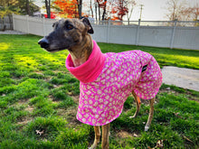 Load image into Gallery viewer, Pink Sugar Cookie Sighthound House Coat
