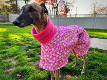 Load image into Gallery viewer, Pink Sugar Cookie Sighthound House Coat

