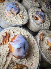 Load image into Gallery viewer, Limited Edition: Candied Carrot Cinnabon Pro-Dough
