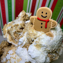 Load image into Gallery viewer, Gingerbread Roo Riginal Pro-Dough (Vegan Friendly)
